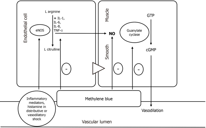 Methylene blue in the critical care setting.