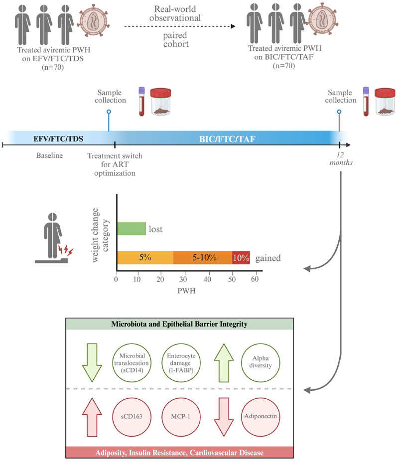 Differential effects of switching to integrase strand transfer inhibitors on the gut microbiota and markers of HIV disease progression.