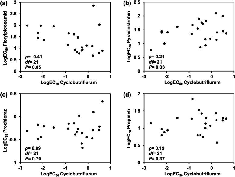 Antifungal spectrum of cyclobutrifluram and multi-point mutations in CcSdh proteins confer resistance in Corynespora cassiicola.