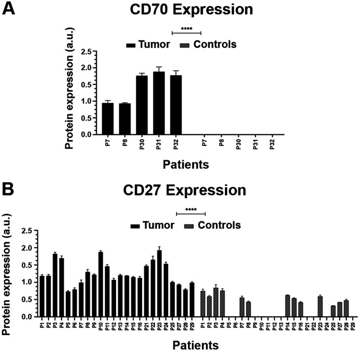 Quantitative Analysis of CD27/CD70 Protein Expression and Investigation of Related Mechanisms in the Tumor Microenvironment of NSCLC.