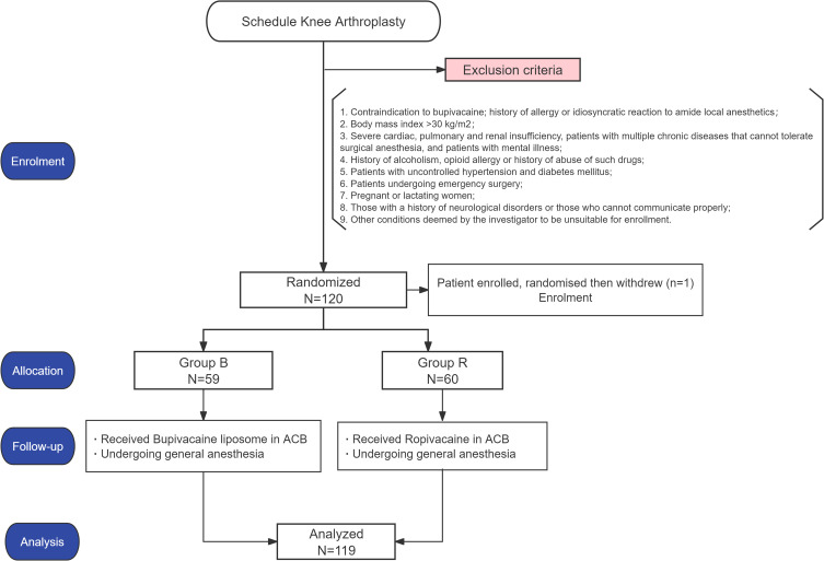 The Analgesic Efficacy of Liposomal Bupivacaine in Adductor Canal Block Following Knee Arthroplasty: A Single-Center, Prospective, Randomized and Controlled Clinical Trial.