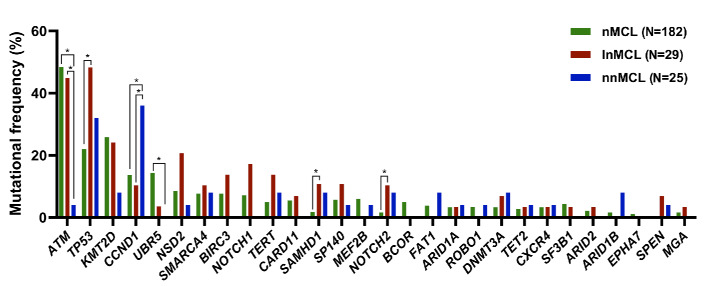 Leukemic presentation in nodal mantle cell lymphoma is characterized by frequent SOX11 negativity, a poor risk genomic landscape including higher TP53 alterations, and worse overall survival.