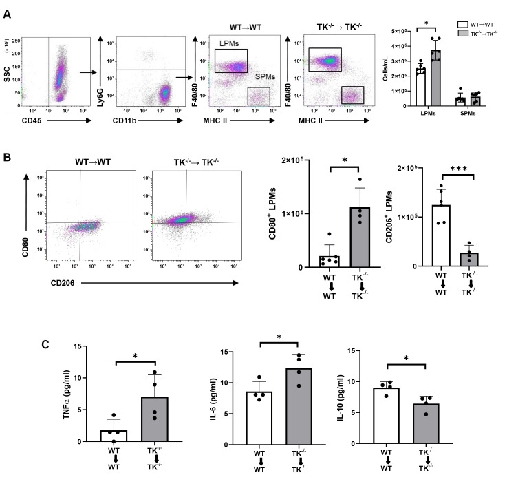 Inhibition of VEGFR1 TK Signaling in Peritoneal Macrophages Suppresses Endometriosis Development.