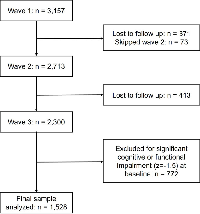 Stress internalization is a top risk for age-associated cognitive decline among older Chinese in the U.S.