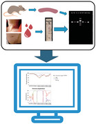 Molecular Epidemiology and Genetic Diversity of Orientia tsutsugamushi From Patients and Small Mammals in Xiangyun County, Yunnan Province, China.