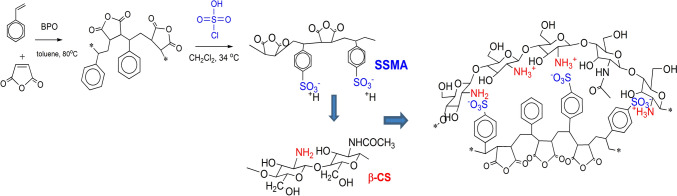 Functionalized nanoparticles based on β-chitosan and styrene copolymer derivative for donepezil delivery.