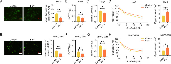 Inhibition of dipeptidyl peptidase 9 improves sorafenib sensitivity by inducing ferroptosis in hepatocellular carcinoma.