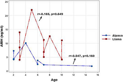 The Elecsys AMH Assay Is a Suitable Method to Detect Gonadal Tissue in Male Alpacas and Llamas.