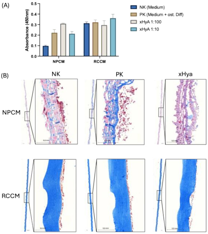 Hyaluronic acid promotes biomineralization of osteoblast-like cells - observations on two different barrier membranes.