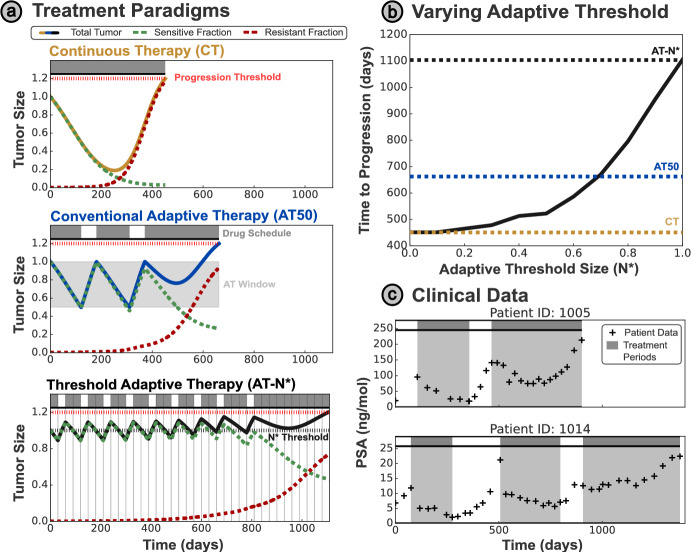 Deriving Optimal Treatment Timing for Adaptive Therapy: Matching the Model to the Tumor Dynamics.
