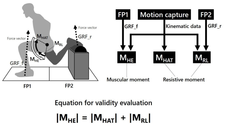 Rear Leg-derived Moment Contributes to Resistance Against Hip Extension in Bulgarian Split Squats.