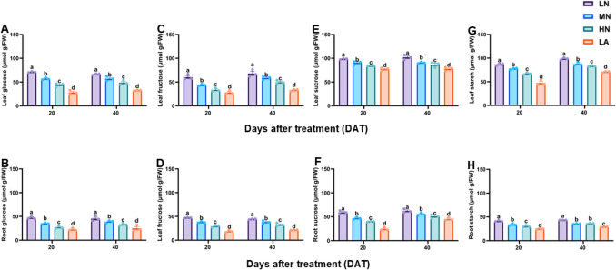 Nitrogen deficiency impacts growth and modulates carbon metabolism in maize.