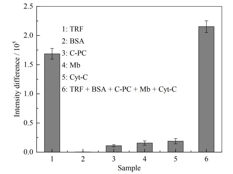 [A protein-specific quantitative detection method based on polyacrylamide gel electrophoresis and online fluorescence imaging].
