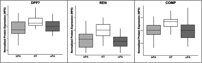 Searching for peripheral proteomic markers of primary aldosteronism.