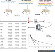 Effect of Meloxicam on the Pharmacokinetics of Cefquinome in Endotoxemic Sheep.