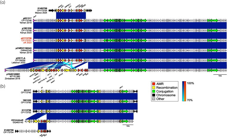 Highly drug-resistant Vibrio cholerae harbouring blaPER-7 isolated from travellers returning to England.
