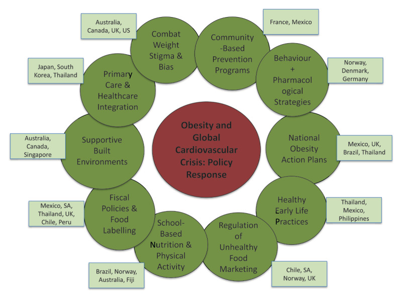The Silent Surge: Obesity Driving a Global Cardiovascular Crisis.