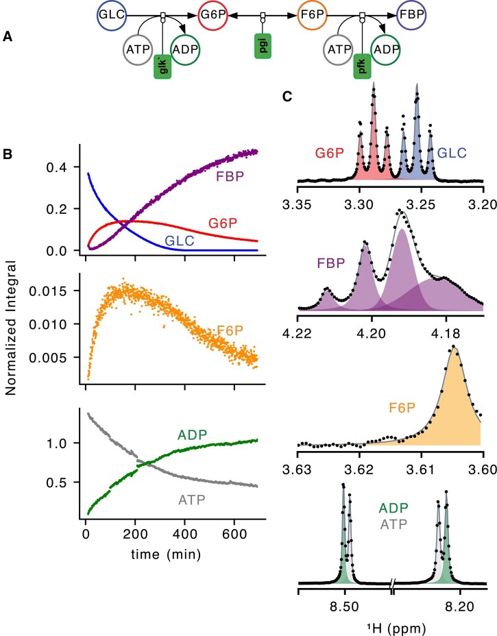 MultiNMRFit: a software to fit 1D and pseudo-2D NMR spectra.