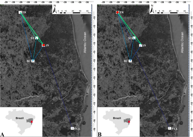 The role of Cacao agroforests in the genetic conservation of Cariniana legalis, an emblematic species of the atlantic forest.