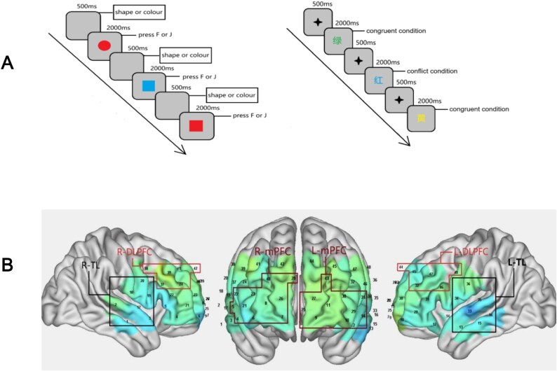 Distinct neural activation patterns in executive functions of schizophrenia patients with predominant positive and negative symptoms: an fNIRS study.
