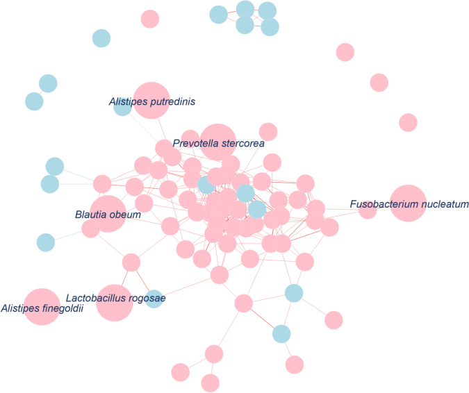 Characteristics of gut microbiota in high-methylated colorectal cancer.