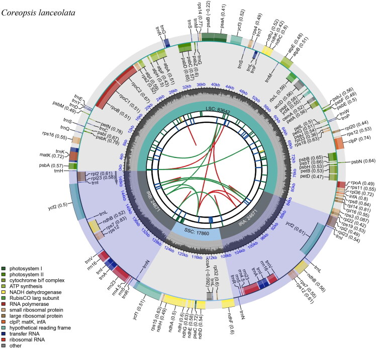 The complete chloroplast genome of <i>Coreopsis lanceolata</i> L. and its phylogenetic analysis.