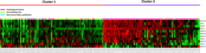 Prognostic impact of RPL15 overexpression in intrahepatic cholangiocarcinoma: a marker of aggressive tumor behavior.