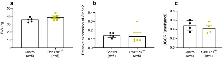 Effects of SGLT2 ablation or inhibition on corticosterone secretion in high-fat-fed mice: exploring a nexus with cytokine levels.