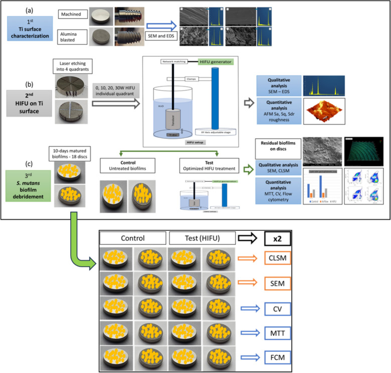 High-intensity focused ultrasound for biofilm debridement, an in vitro proof-of-concept using Ti-attached Streptococcus mutans.
