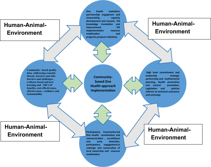 Harnessing community-based one health interventions implementation beyond Mpox outbreak management in Africa: insights and benefits.