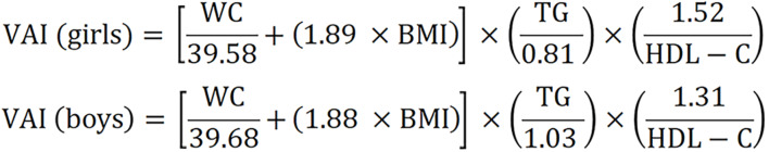 Cross-sectional association of fitness, fatness, and dyslipidemia with metabolic syndrome in youth.
