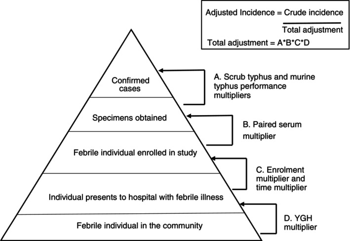 Estimating scrub typhus and murine typhus incidence among adolescents and adults in Yangon, Myanmar.