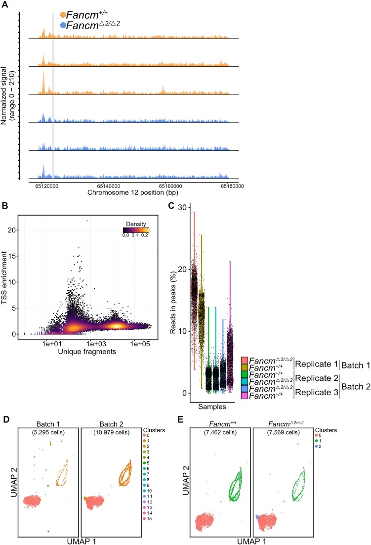 A high-resolution meiotic crossover map from single-nucleus ATAC-seq reveals insights into the recombination landscape in mammals.