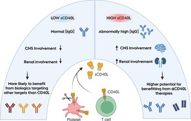 Treat-To-Target: Emergence of Second-Generation CD40L Inhibitors for Treatment of SLE-Identifying Beneficial Patient Candidates for CD40L Inhibitors in a Cross-Sectional SLE Cohort.