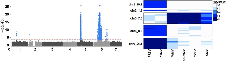 Large-scale composite hypothesis testing procedure for omics data analyses.