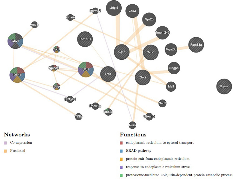 Comparison of transcriptome profiles of radiotherapy beams on MCF-7 breast cancer xenografts.