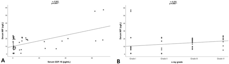 Association of macrophage migration-inhibitory factor gene and growth differentiation factor 15 gene polymorphisms and their circulating levels with respiratory distress syndrome among preterm neonates.