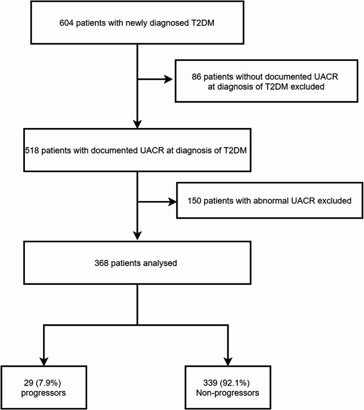Risk factors for progression to albuminuria in individuals with newly diagnosed type 2 diabetes: a 5-year cohort study.