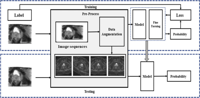 Computer-aided diagnosis based on 3D deep convolutional neural network system using novel 3D magnetic resonance imaging sequences for high-grade prostate cancer.