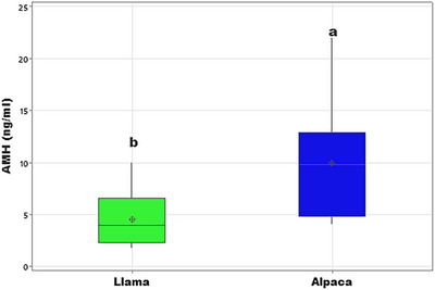 The Elecsys AMH Assay Is a Suitable Method to Detect Gonadal Tissue in Male Alpacas and Llamas.
