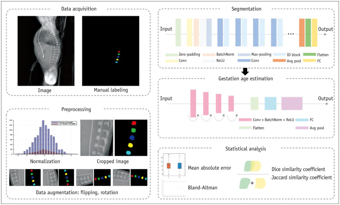 Development of a Deep-Learning Model for Estimating Newborn Gestational Age via Lumbar Vertebral Segmentation on Plain Radiography.