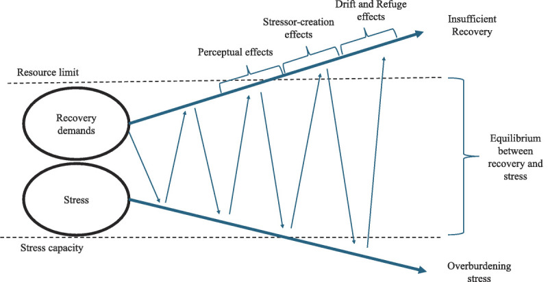 Lack of Recovery From Work and Changes for the Worse in Working Conditions-The Role of Vitality as a Mediator of Lack of Detachment and Sleeping Problems in a 12-Wave Panel Study.