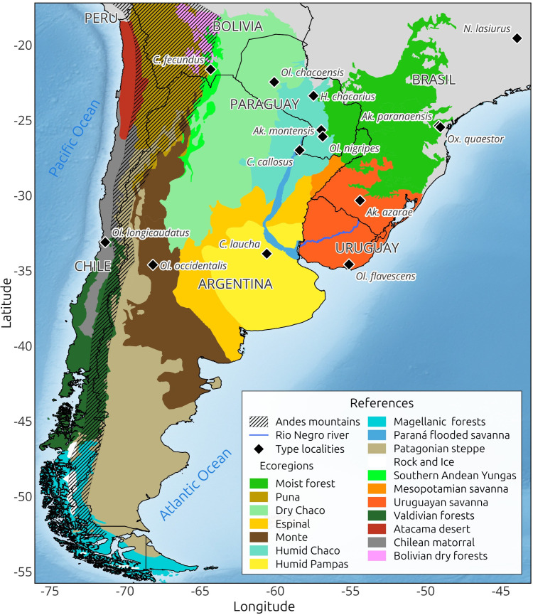Orthohantavirus rodent hosts and genotypes in Southern South America: A narrative review.