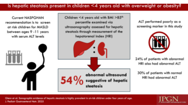 Sonographic evidence of hepatic steatosis is highly prevalent in at-risk children under 4 years of age.