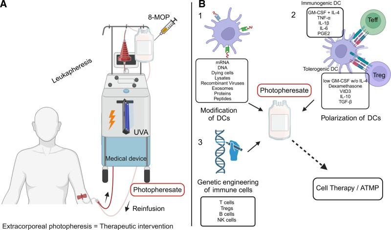 Extracorporeal Photopheresis: Does It Have a Potential Place Among Cell-based Therapies?