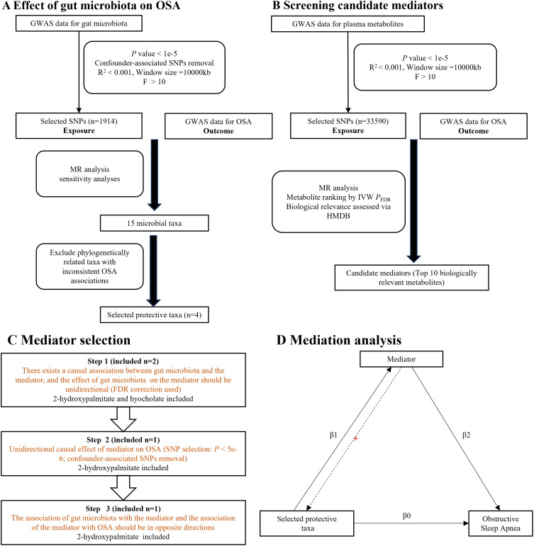 The Role of Plasma Metabolites in Mediating the Effect of Gut Microbiota on Obstructive Sleep Apnea: A Two-Step, Two-Sample Mendelian Randomization Study.