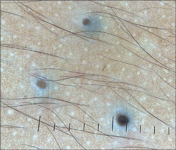 Abstract Image