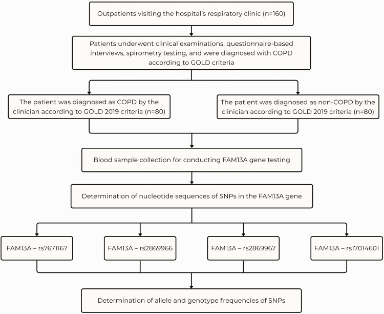Association of <i>FAM13A</i> single-nucleotide polymorphism with spirometry indices and pulmonary ventilation characteristics in patients with chronic obstructive pulmonary disease.