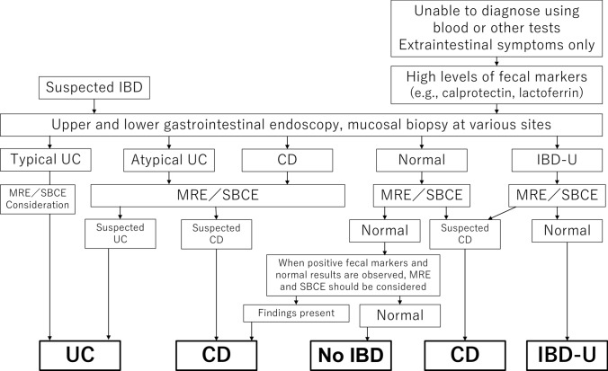 Expert consensus on diagnostic guidelines for pediatric inflammatory bowel disease in Japan.