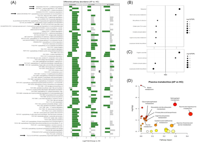 Acute pancreatitis gut dysbiosis persists at 1-year follow-up and is associated with clinical outcomes.